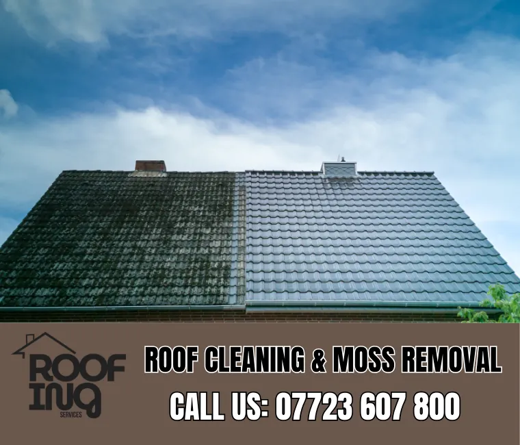 Roof Cleaning in Dawlish
